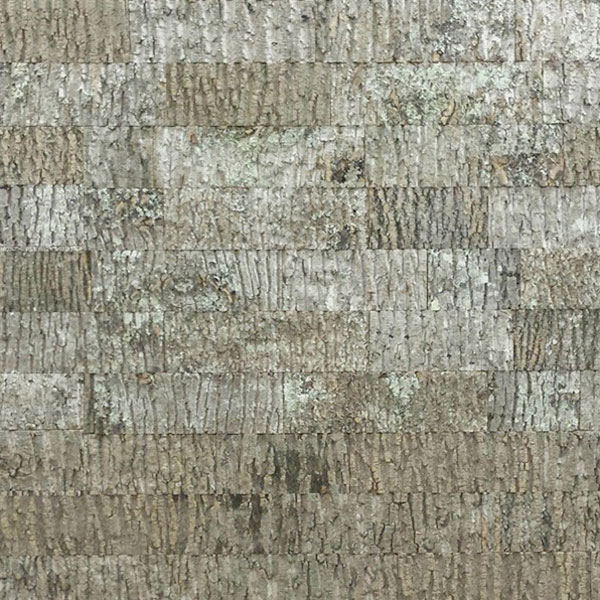 Poplar-Bark-Subway-Panels