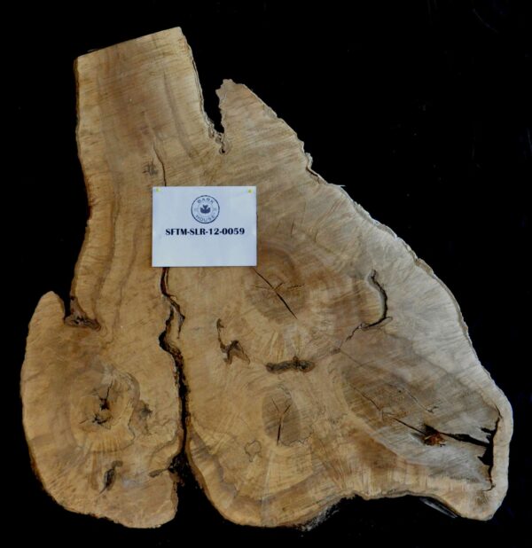 64" Soft Maple Live Edge Slab Round [SFTM-SLR-12-0059]