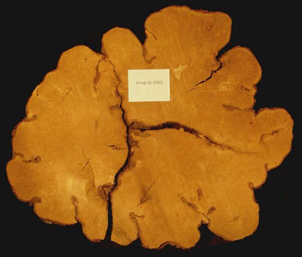 64" Maple Live Edge Round Slab [SFTM-RND-BD-0002]