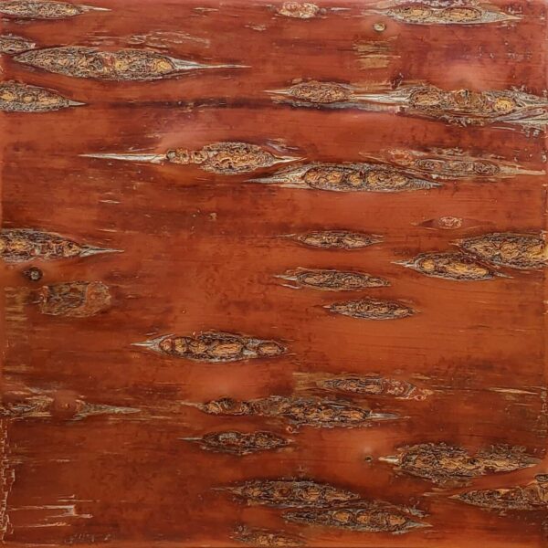 Fire Cherry Bark Sample