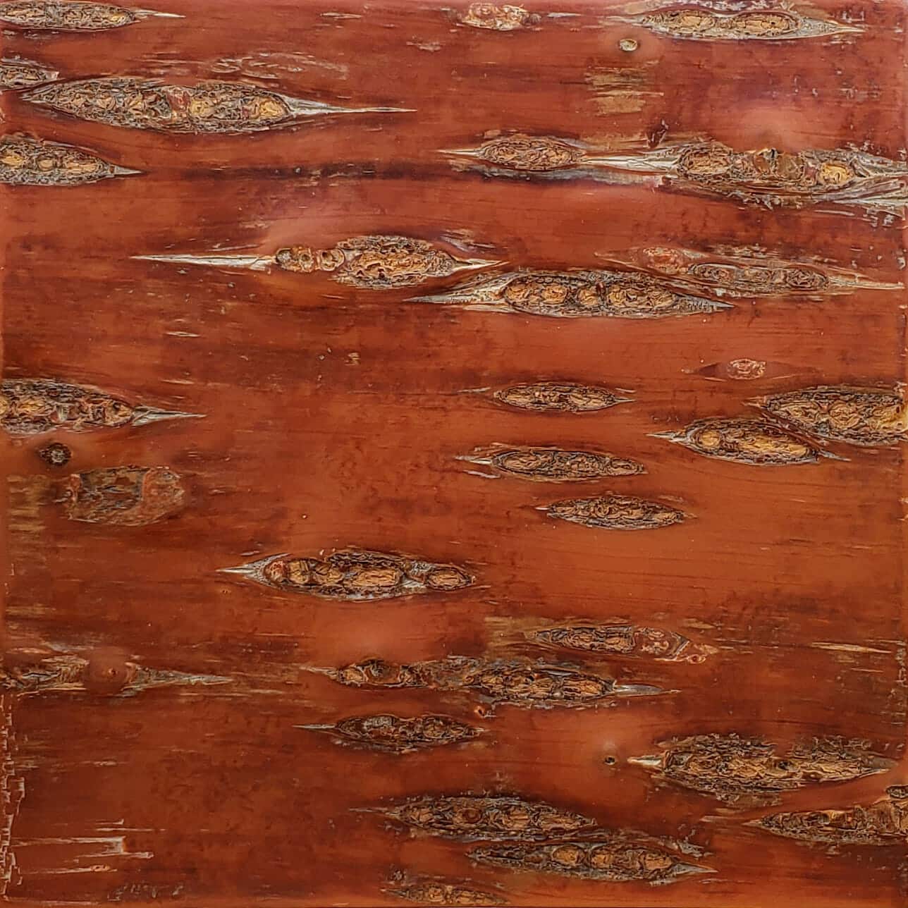 bark-house-fire-cherry-akita-wall-covering-6x6-1.jpg