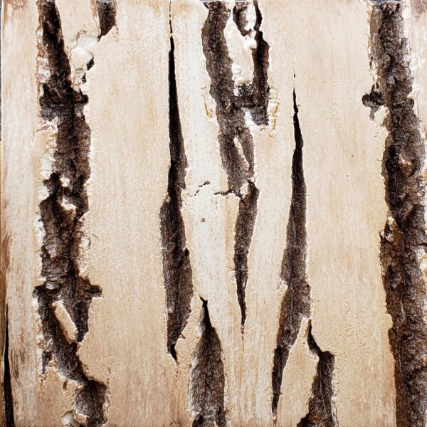 Poplar Bark Sanded With Finish Options Sample - Image 2