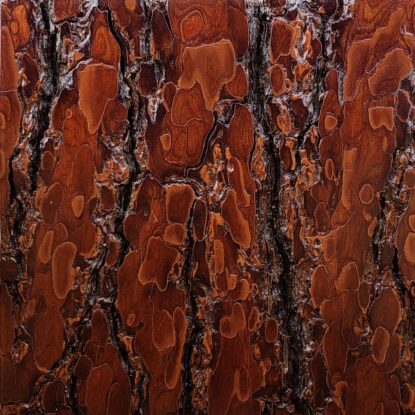 Rough Pine Bark Tile Panel, Sanded, and Lacquered Sample