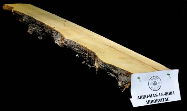 97" Arborvitae Live Edge Slab Mantel [ARBO-MAN-15-0001]