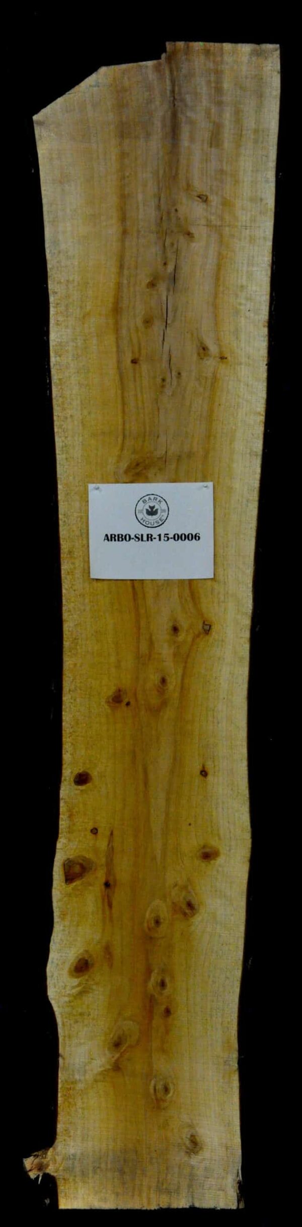 97" Arborvitae Live Edge Slab [ARBO-SLR-15-0006]