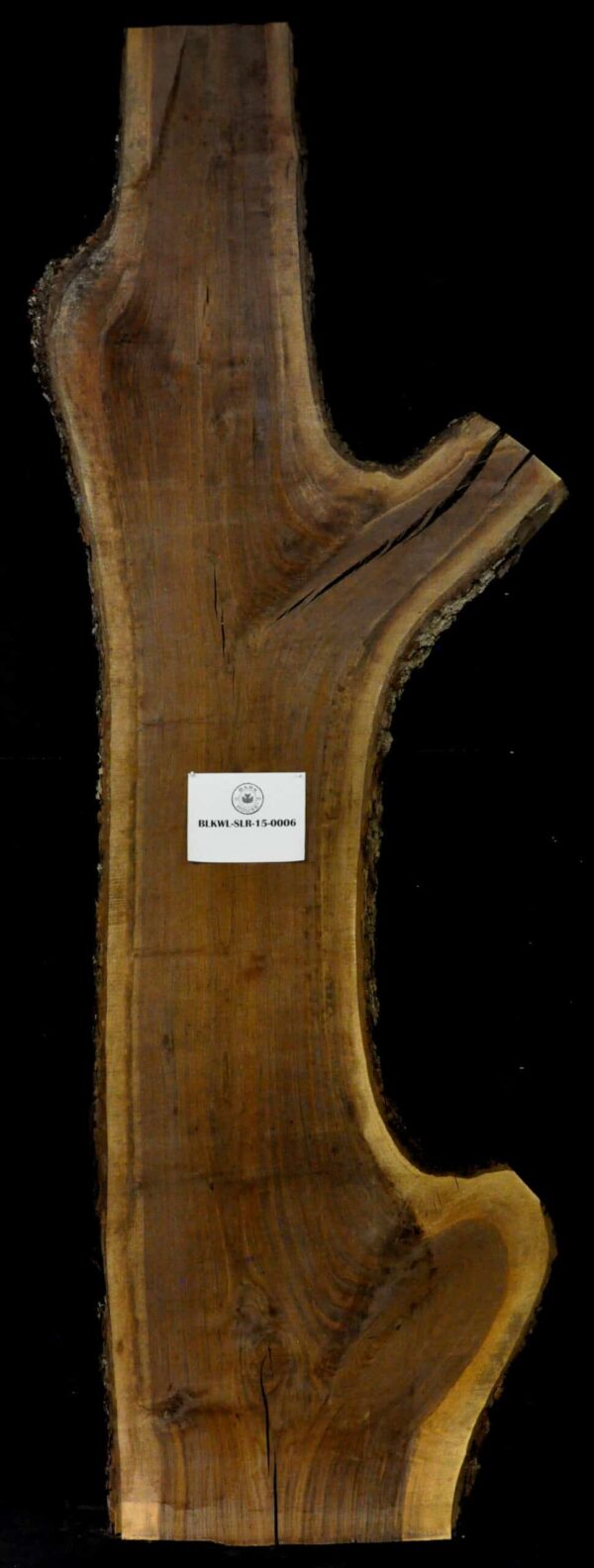 150" Walnut Live Edge Slab Irregular [BKWL-SLR-15-0006]