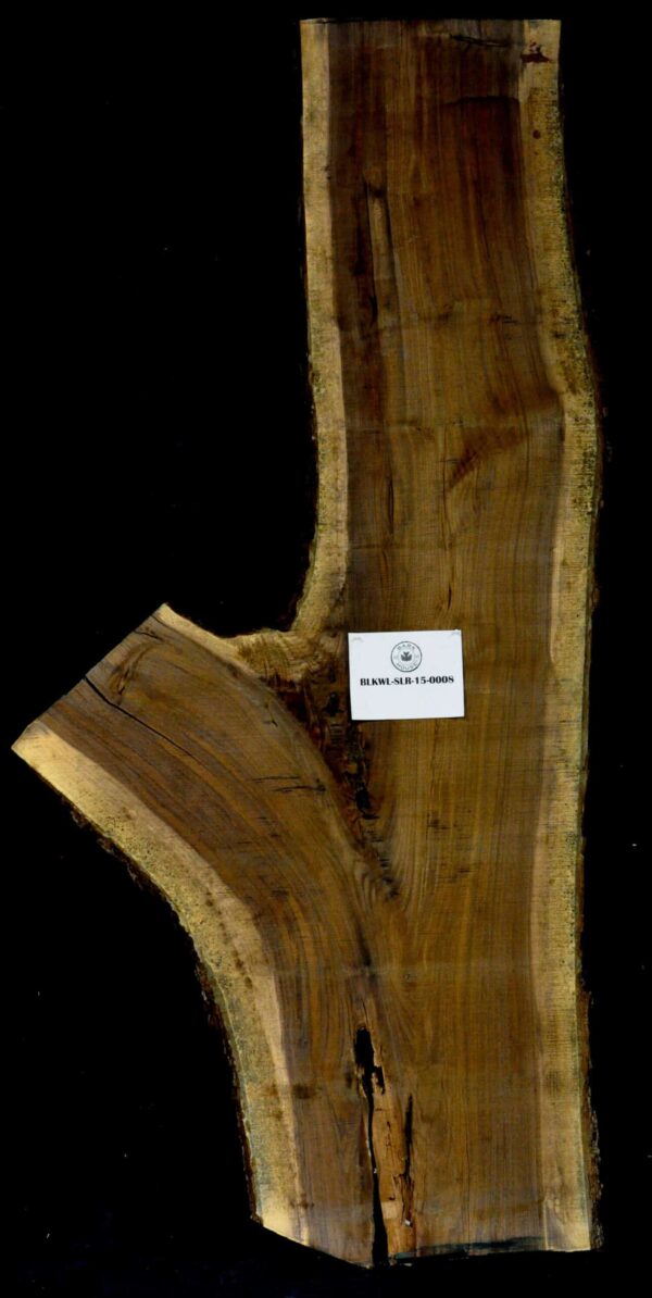 123" Walnut Live Edge Irregular Slab [BKWL-SLR-15-0008]