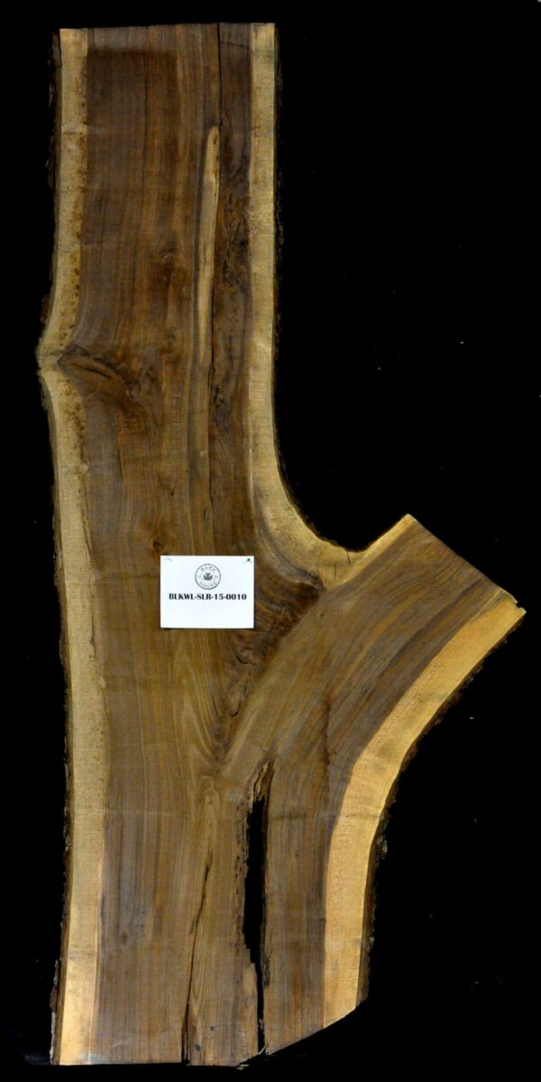 120" Walnut Live Edge Slab Irregular [BKWL-SLR-15-0010]