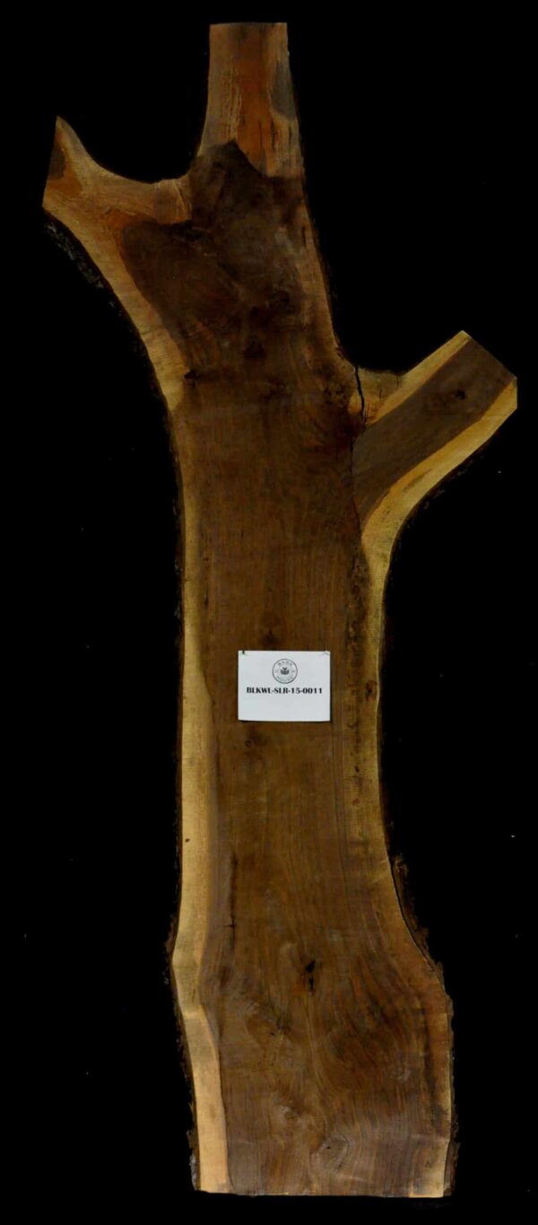 150" Walnut Live Edge Slab Irregular [BKWL-SLR-15-0011]