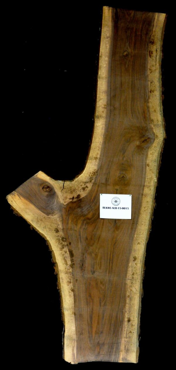 123" Walnut Live Edge Irregular Slab [BKWL-SLR-15-0015]