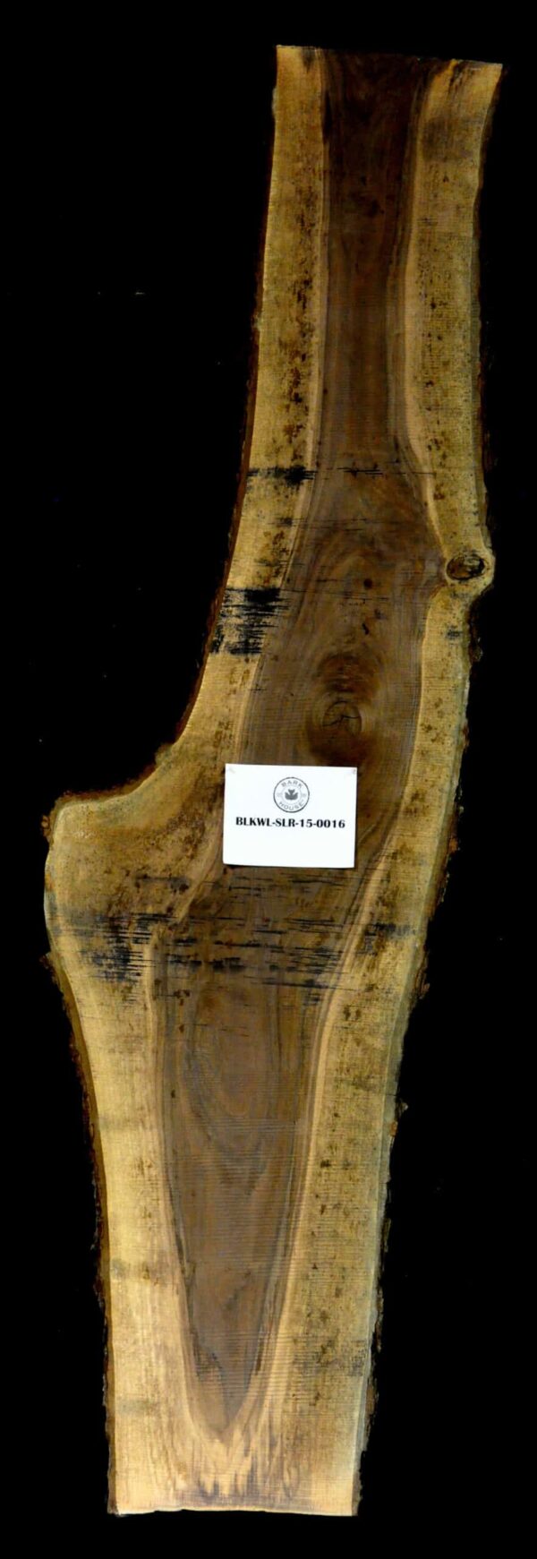 123" Walnut Live Edge Slab [BKWL-SLR-15-0016]