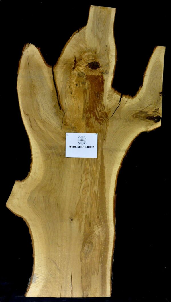 100" Oak Live Edge Slab Irregular [WTOK-SLI-15-0002]
